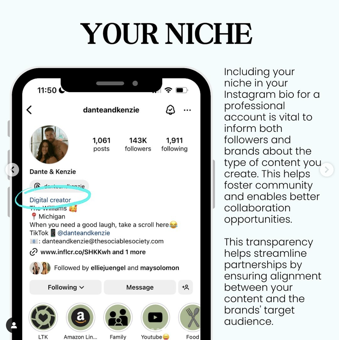 what to put in ig bio